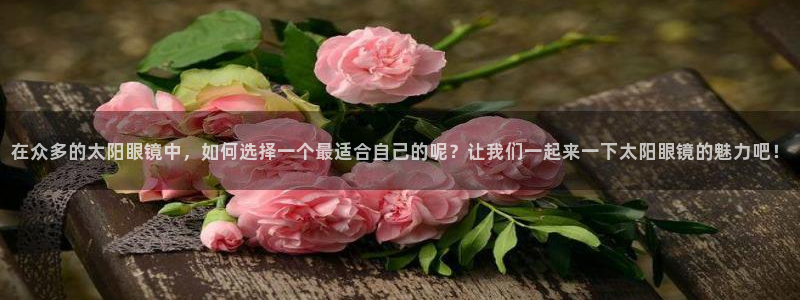 卧龙区娱乐会所