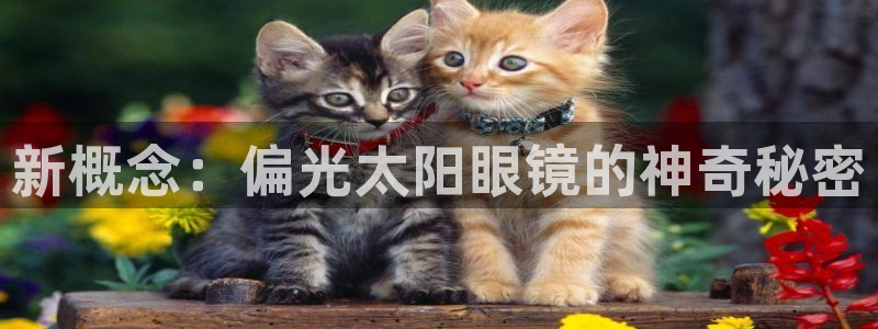 南阳卧龙区娱乐